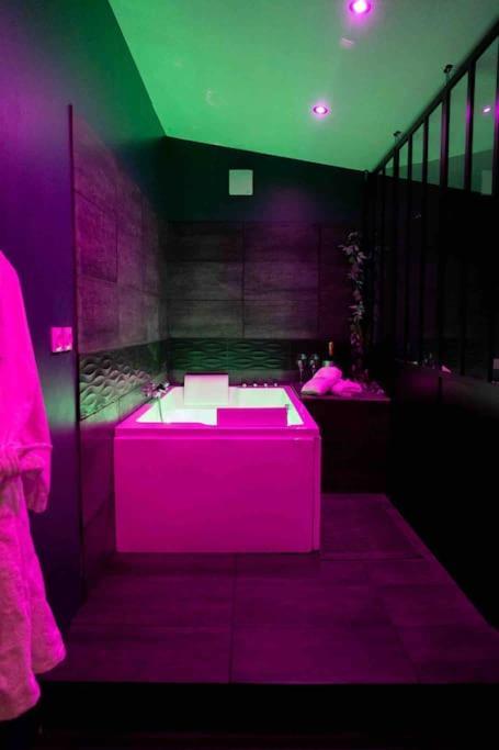 Appartement Loveroom En Aparte Caen